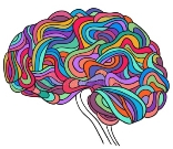 Человеческий мозг, вектор иллюстрация вектора. иллюстрации насчитывающей -  94232187